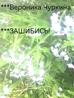 Зашибись! (Вероника Чуркина)