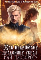 Как некромант драконицу украл. Или наоборот? (Анжелика Лиса, Катерина Кот)