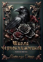 Школа чернокнижников. Темная метка (Матильда Старр)