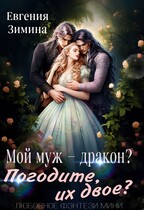 Мой муж — дракон! Погодите, их двое? (Евгения Зимина)