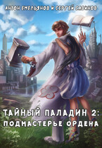 Тайный паладин 2: Подмастерье ордена (Антон Емельянов и Сергей Савинов)