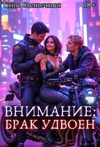 Внимание: Брак удвоен (Тина Солнечная)