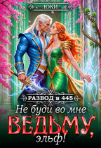 Не буди во мне ведьму, эльф! (Юки)