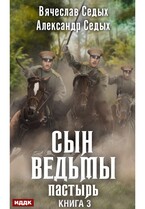 Сын ведьмы. Книга 3. Пастырь (Седых Александр, Седых Вячеслав)
