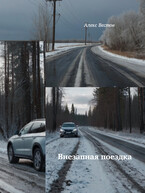 Внезапная поездка (Алекс Вестов)