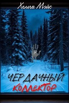 Чердачный коллектор (Хельга Мэйс)