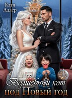 Волшебный кот под Новый год (Катя Адлер)