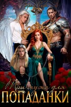 Три мужа для попаданки (Ирен Софи)