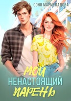Мой ненастоящий парень (Соня Мармеладова)