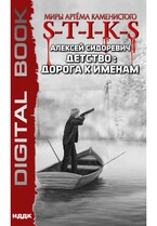 Миры Артёма Каменистого. S-T-I-K-S. Детство: дорога к именам (Сидоревич Алексей)