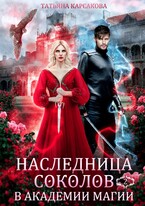Наследница Соколов в Академии магии (Татьяна Корсакова)
