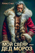 Мой свёкр — Дед Мороз (Алекс Стар)
