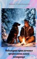 Новогодние приключения профессионального попаданца (Диана Ольховицкая)