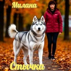 Стычка (Милана)