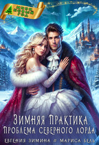 Зимняя практика. Проблема Северного Лорда (Евгения Зимина)