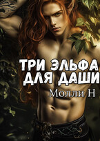 Три эльфа для Даши (Молли Н)