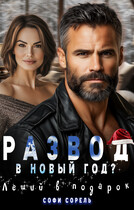 Развод в Новый год? Леший в подарок (Софи Сорель)