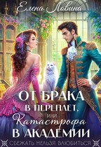 От брака в переплет, или Катастрофа в академии (Елена Ловина)