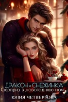 Дракон и Снежинка. Сюрприз в новогоднюю ночь (Юлия Четвергова)