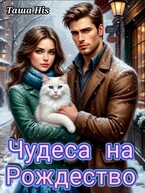Чудеса на Рождество (Таша His)