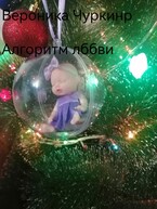 Алгоритм любви. (Вероника Чуркина)
