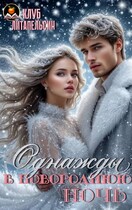 Однажды в новогоднюю ночь (Клуб Литапельсин)