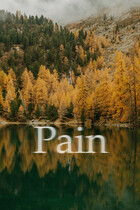 Pain (Aria Richard`s)