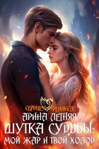 Шутка судьбы: мой жар и твой холод (Арина Летняя)