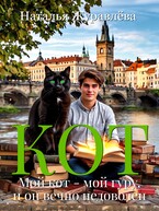Кот (Наталья Журавлёва)