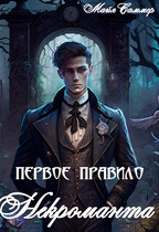 Первое правило некроманта (Майя Саммер)