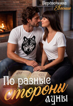По разные стороны луны (Евгения Верёвочкина)