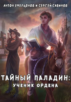 Тайный паладин: Ученик ордена (Антон Емельянов и Сергей Савинов)