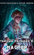 Тайный паладин 4: Мастер (Антон Емельянов и Сергей Савинов)