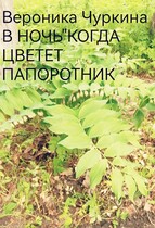 В ночь, когда цветёт папоротник. (Вероника Чуркина)