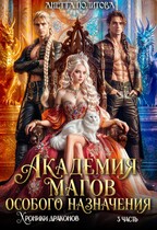 Хроники драконов, часть 3: Академия Магов Особого Назначения (Анетта Политова)