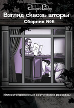 ВЗГЛЯД СКВОЗЬ ШТОРЫ Сборник эротических рассказов №6 (Андрей Райдер)
