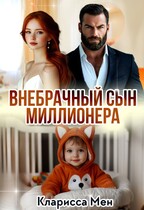 Внебрачный сын Миллионера (Кларисса Мен)