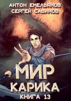 Мир Карика 13. Темный рыцарь (Антон Емельянов и Сергей Савинов)