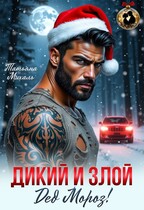 Дикий и злой Дед Мороз! (Татьяна Михаль)