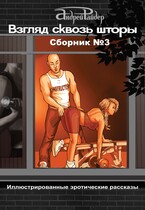 ВЗГЛЯД СКВОЗЬ ШТОРЫ.  СБОРНИК эротических рассказов №3 (Андрей Райдер)