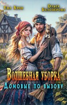 Волшебная уборка. Домовые по вызову (Ева Бран)