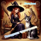 Попаданка чужестранка (Rina Vovk)