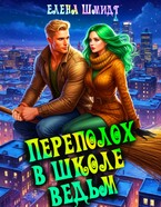 Переполох в школе ведьм (Елена Шмидт)