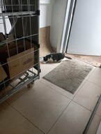 lyokkyejcoish (Пухов Антон Олегович Кронштадт Это мой родной брат)