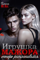 Игрушка мажора. Теперь расплачивайся (Филиппа Фелье)