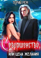 Совершенство, или Цена желания (Терин Рем)