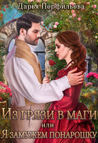 Из грязи в маги или Я замужем понарошку (Дарья Перфильева)