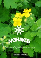 Княгиня Краснопольская (Алэн Акоб)