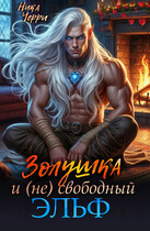 Золушка и (не) свободный Эльф (Ника Черри)