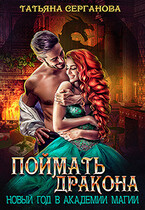 Поймать дракона. Новый год в Академии Магии (Татьяна Серганова)